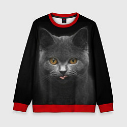 Свитшот детский Котэ'тс, цвет: 3D-красный