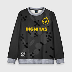 Свитшот детский Dignitas Jersey pro 202122, цвет: 3D-меланж