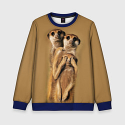 Свитшот детский Сурикаты, цвет: 3D-синий