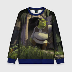 Свитшот детский Shrek: Somebody Once Told Me, цвет: 3D-синий