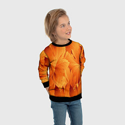 Свитшот детский Кленовая сладость, цвет: 3D-черный — фото 2