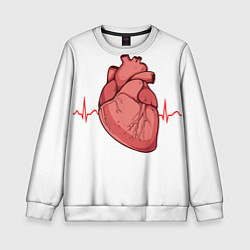 Детский свитшот Анатомия сердца