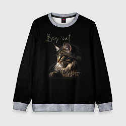 Свитшот детский Big cat Maine Coon, цвет: 3D-меланж