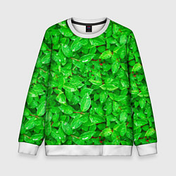 Свитшот детский Зелёные листья - текстура, цвет: 3D-белый