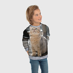 Свитшот детский Британская короткошёрстная кошка смотрит вверх, цвет: 3D-меланж — фото 2