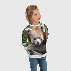 Свитшот детский Красная панда, цвет: 3D-белый — фото 2