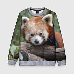 Детский свитшот Красная панда