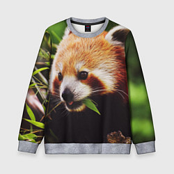 Детский свитшот Красная милая панда