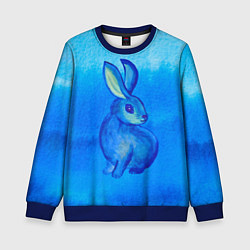 Свитшот детский Водяной кролик символ 2023, цвет: 3D-синий