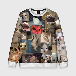 Свитшот детский Мемные котики, цвет: 3D-белый