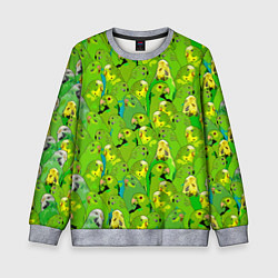 Свитшот детский Зеленые волнистые попугайчики, цвет: 3D-меланж