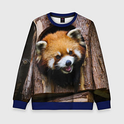 Свитшот детский Красная панда в дереве, цвет: 3D-синий