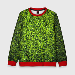 Свитшот детский Зелёная трава листья, цвет: 3D-красный