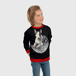 Свитшот детский Бультерьер и луна, цвет: 3D-красный — фото 2