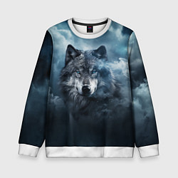 Детский свитшот Волк ночью под луной