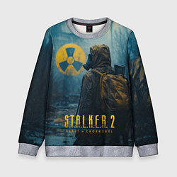 Детский свитшот Stalker 2 зараженная зона