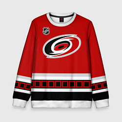 Свитшот детский Carolina Hurricanes - NHL team, цвет: 3D-белый
