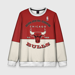 Детский свитшот NBA Bulls Vintage