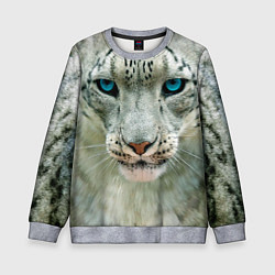 Свитшот детский Снежный барс, цвет: 3D-меланж