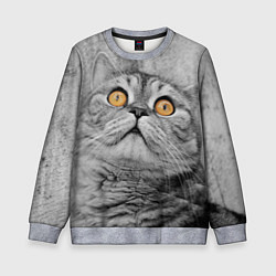 Свитшот детский Взгляд котика, цвет: 3D-меланж