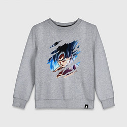 Свитшот хлопковый детский Dragon Ball, цвет: меланж