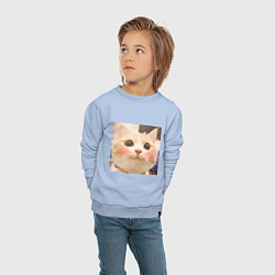 Свитшот хлопковый детский Мем про котов, цвет: мягкое небо — фото 2