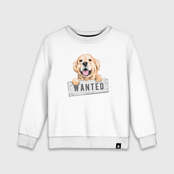 Свитшот хлопковый детский Dog Wanted, цвет: белый