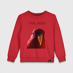 Свитшот хлопковый детский Красный попугай, цвет: красный