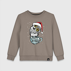 Свитшот хлопковый детский X-mas Owl, цвет: утренний латте