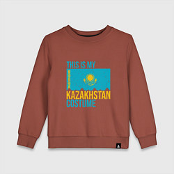 Свитшот хлопковый детский Казахстанскйи костюм, цвет: кирпичный