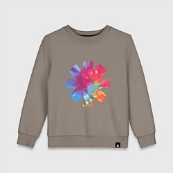 Детский свитшот RHCP Color