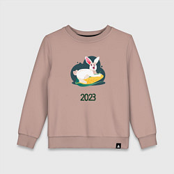 Свитшот хлопковый детский Кролик 2023, цвет: пыльно-розовый