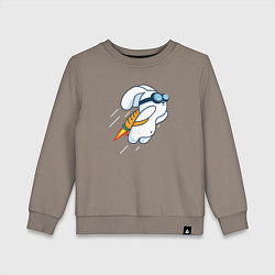 Детский свитшот Заяц летит на реактивной морковке