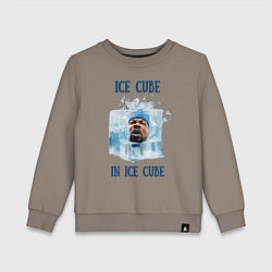 Свитшот хлопковый детский Ice Cube in ice cube, цвет: утренний латте