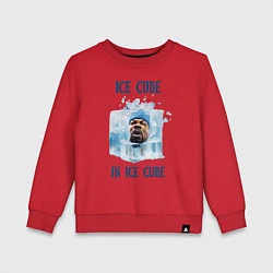 Свитшот хлопковый детский Ice Cube in ice cube, цвет: красный