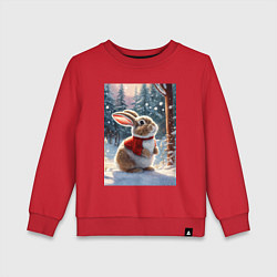 Детский свитшот The Christmas bunny