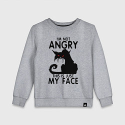 Детский свитшот I am not angry cat