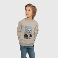 Свитшот хлопковый детский Приемлемо - кот мем в живописи, цвет: миндальный — фото 2
