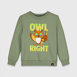 Свитшот хлопковый детский Owl right - каламбур отлично, цвет: авокадо