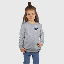 Свитшот хлопковый детский Im Estonian - motto, цвет: меланж — фото 2