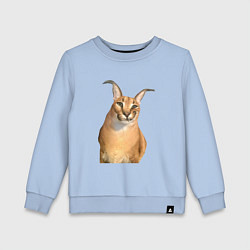 Детский свитшот Кот Шлепа блоггер