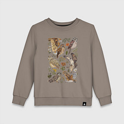 Свитшот хлопковый детский Разные совы и цветы, цвет: утренний латте