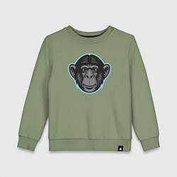 Свитшот хлопковый детский Funny monkey, цвет: авокадо