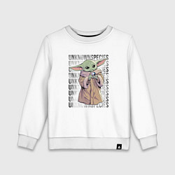 Детский свитшот Мандалорец - Беби Йода