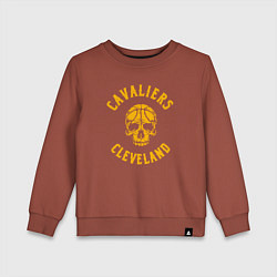 Свитшот хлопковый детский Cavaliers skull, цвет: кирпичный