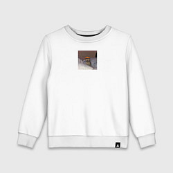 Свитшот хлопковый детский Brimstone cat meme Valorant, цвет: белый