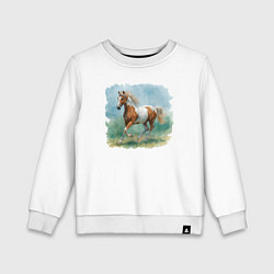 Детский свитшот Квотерхорс