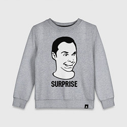 Детский свитшот Sheldon surprise