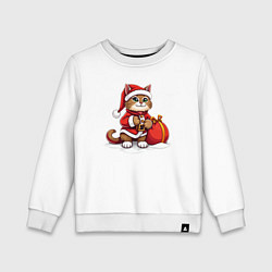 Детский свитшот Котик дед мороз с мешочком подарков