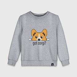 Детский свитшот Got Corgi